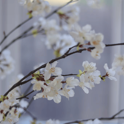 Faux Cherry Blossom Stem, Delicate White Blossoms with Realistic Branching for Spring Decor